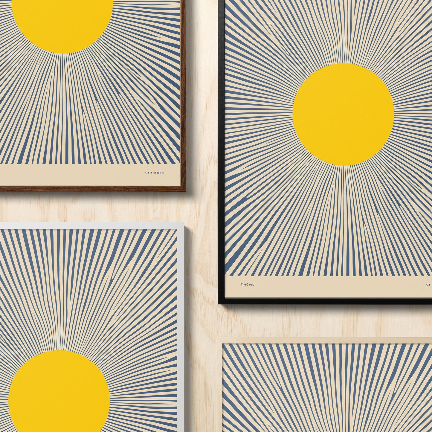 Shape Series: The Circle