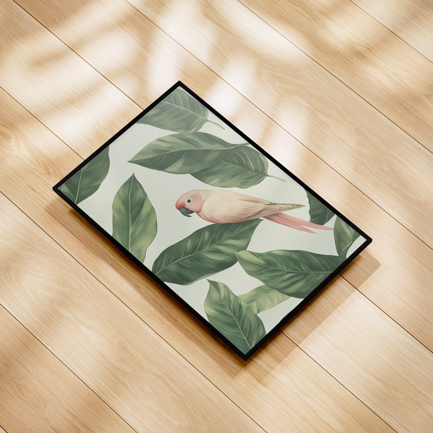 Jungle - Parrot