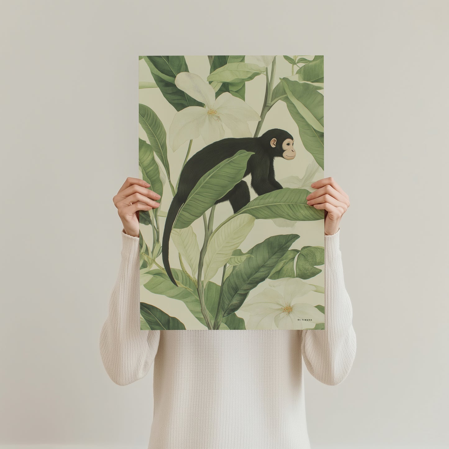 Jungle - Monkey