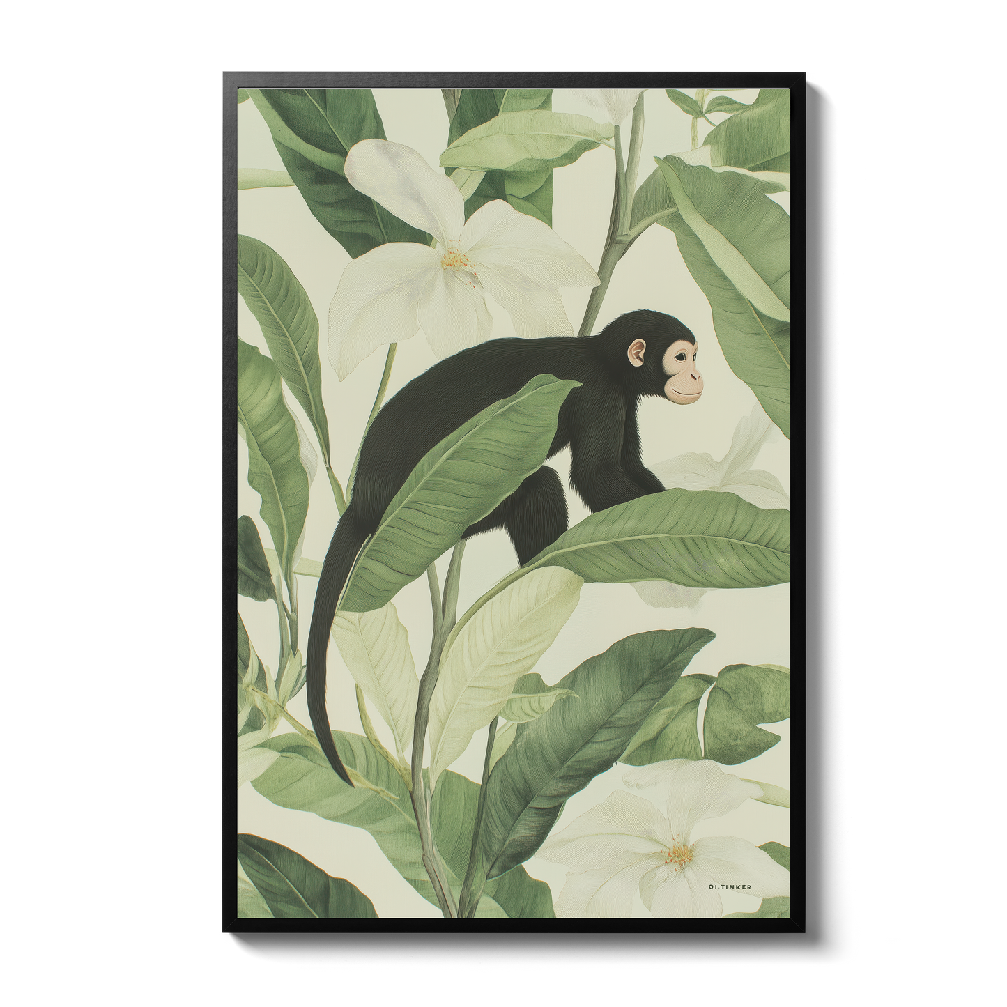 Jungle - Monkey