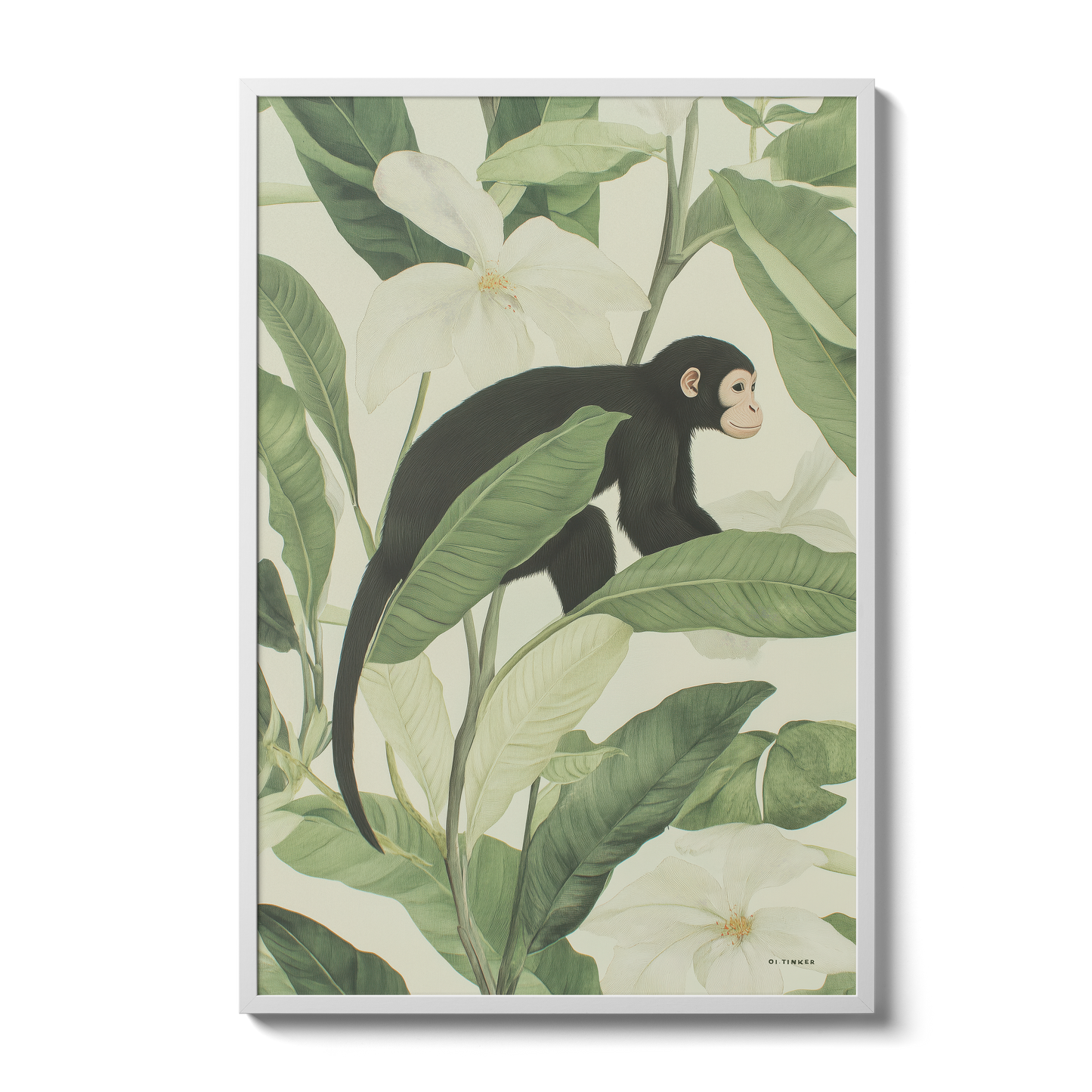 Jungle - Monkey