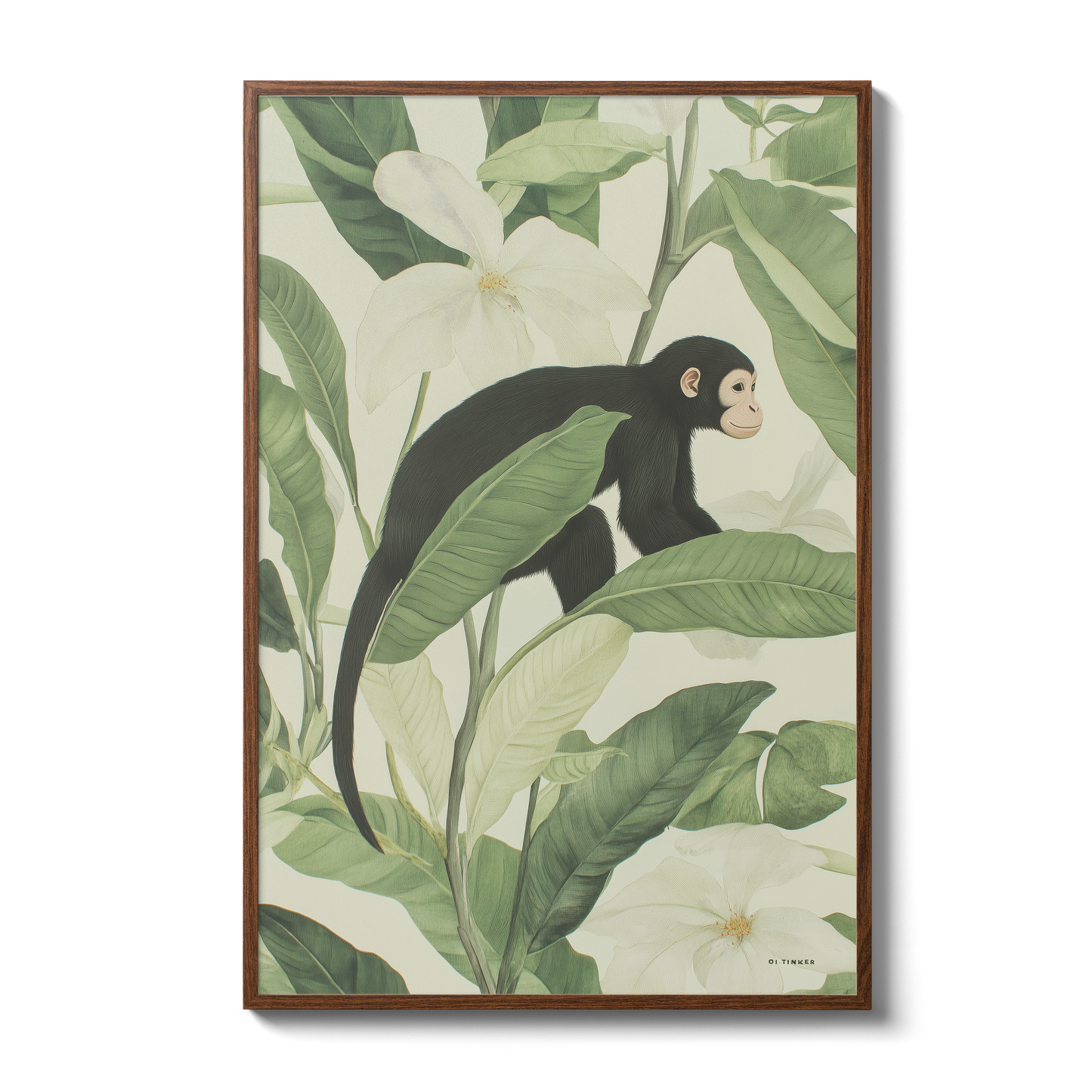 Jungle - Monkey