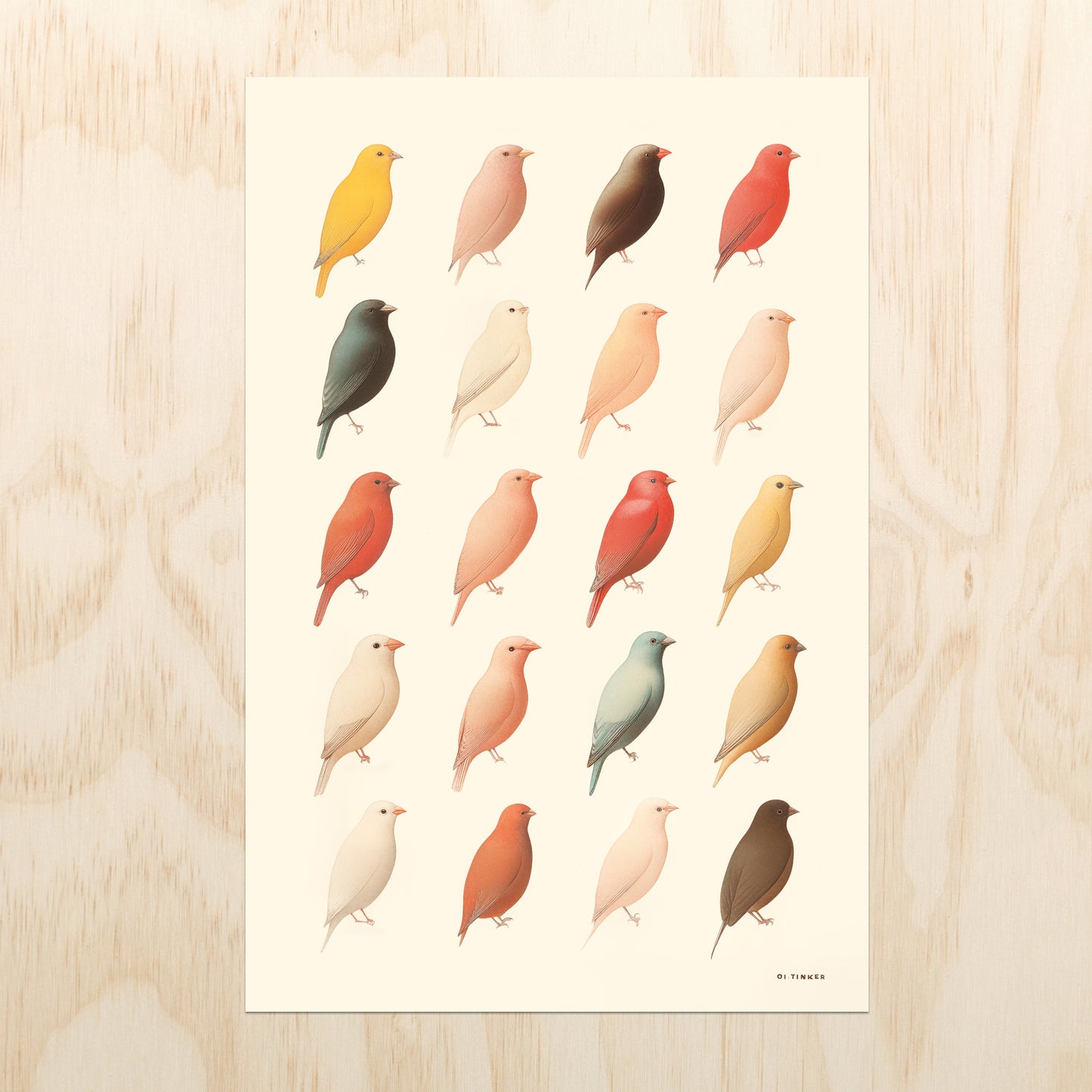 Feathered Friends