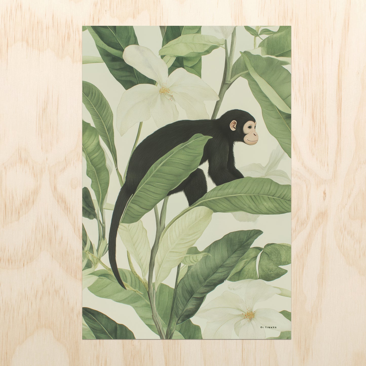Jungle - Monkey