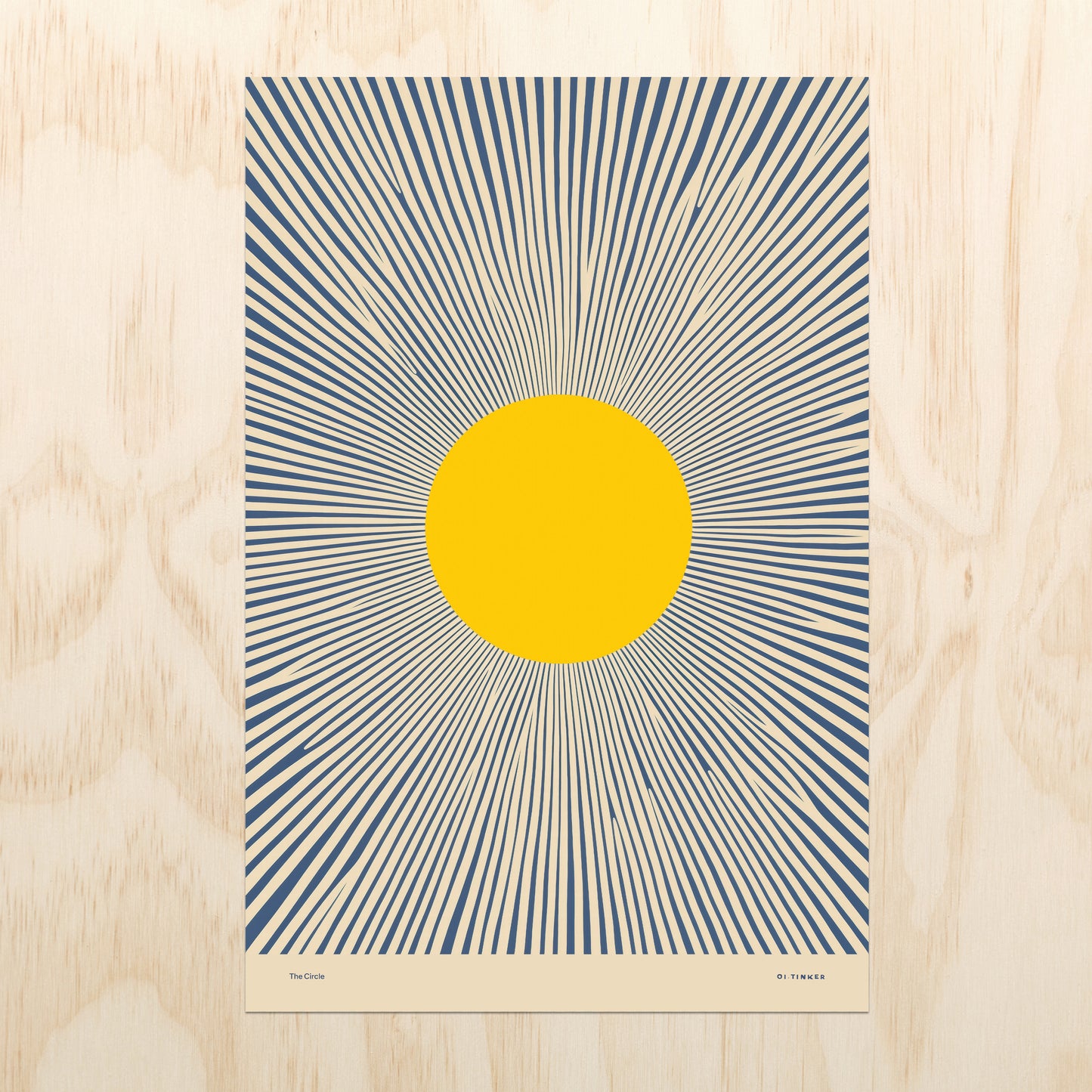 Shape Series: The Circle