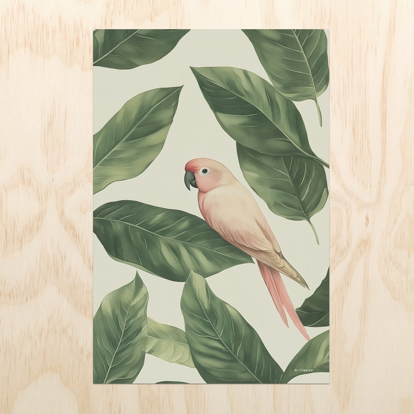 Jungle - Parrot