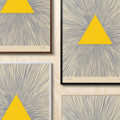 Shape Series: The Triangle