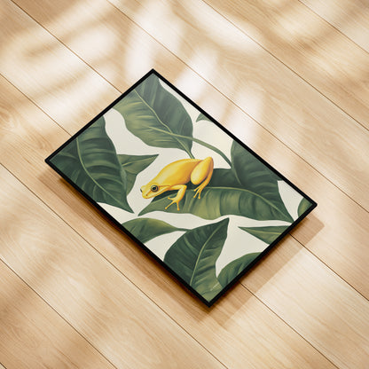 Jungle - Frog