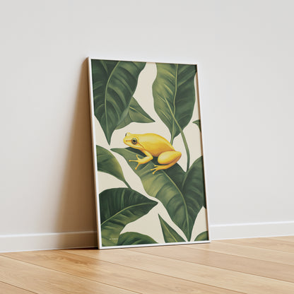 Jungle - Frog