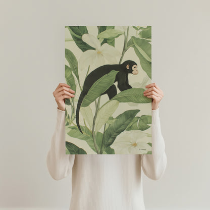 Jungle - Monkey