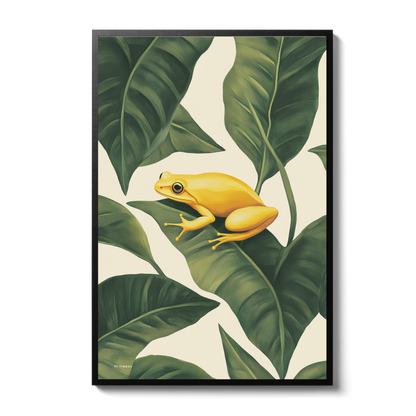 Jungle - Frog