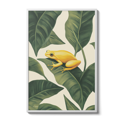 Jungle - Frog