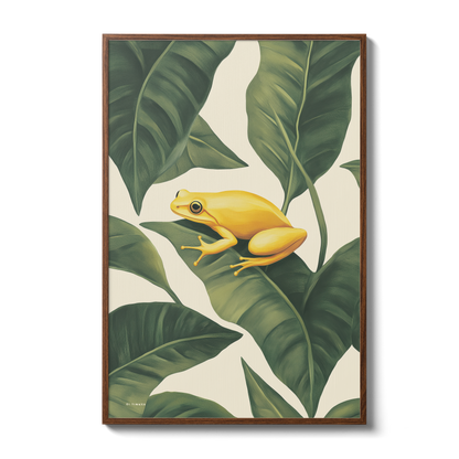 Jungle - Frog