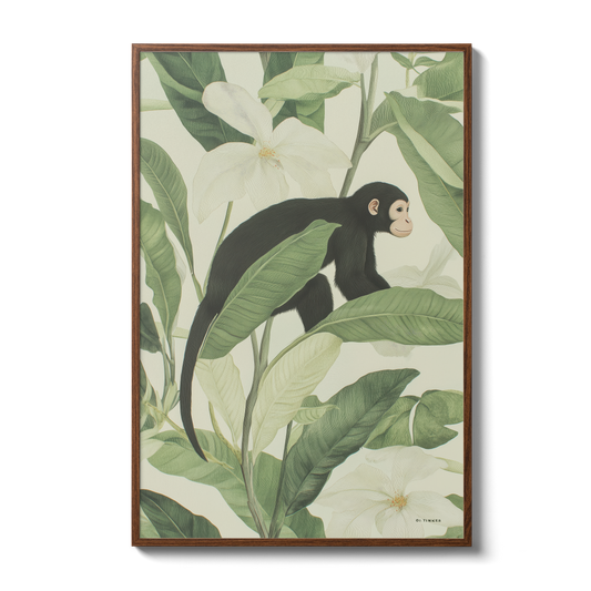 Jungle - Monkey